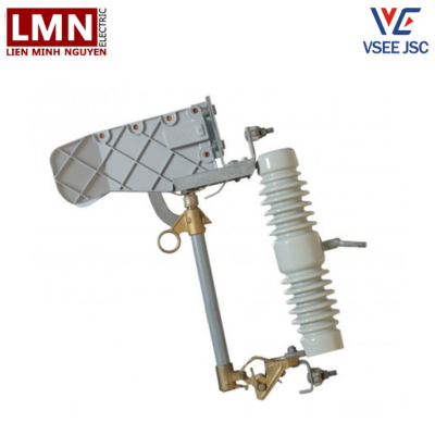 VSE-LBPFCO35100-cau-chi-tu-roi-cat-co-tai-vinasino
